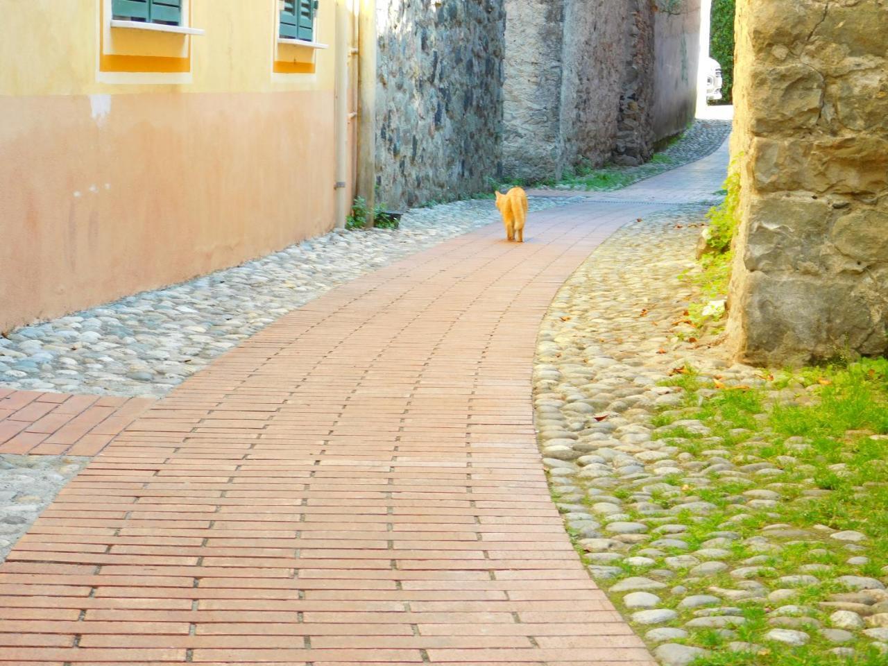 Bellissima Casa Nel Centro Storico!!! Leilighet Levanto Eksteriør bilde